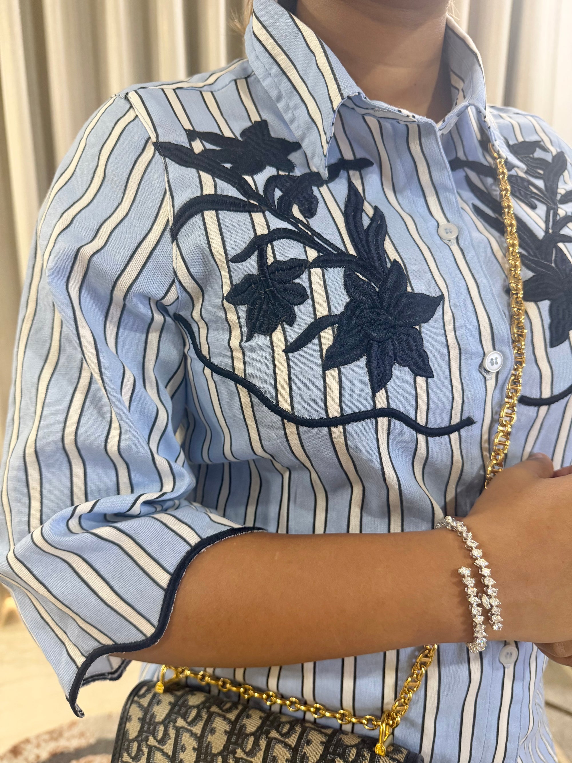BlueBird Set
